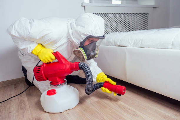 Pest Control for Hotels in Patterson, CA